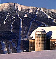 sugarbush1199.jpg None