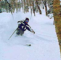 Bertman's Ballpark Mustard Shortly after moving to Colorado eight years ago, I went to a baseball game and was sorely disappointed. Where was the stadium mustard? Growing up in…