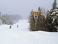 "$50; nandahome.com I once hit the snooze button for an hour straight, sleeping in five-minute bursts, unable to drag myself out of bed. Thank God it…"