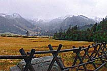 Gulmarg I chose to ski a shoulder of the peak, and after slowly working at chipping away the cornice with my pole to create a clean entrance, I was set and…