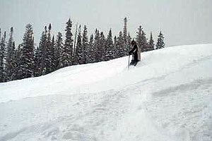 "For your park-rat nephew: We’re still not totally sure why, but skiers in the park like looking like robbers holding up a bank. They all wear&hellip;"
