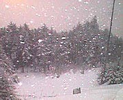 $915 (without binding)A blood-and-guts big-mountain ski with a stiff flex, a big shovel, and a flat tail, the Sandstorm performs best in pow but it…