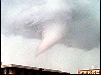 The Good Life Cafe None