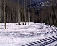 "Snowbird, located in Little Cottonwood Canyon in the Wasatch mountains of Utah, is a steep skiers paradise. You get more bang for buck in terms of&hellip;"