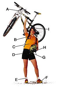 A-K2Razorback 4.0 full-suspension mountain bike, $1,899. 800-426-1617, www.k2bikes.com.B-CAMELBAK H.A.W.G. hydration system. $100. 800-767-8725,…