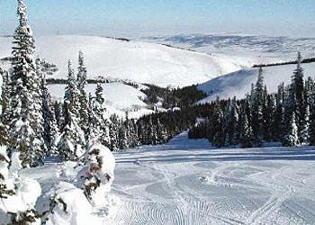 Pomerelle piled up 52 inches in the past seven days.Photo Courtesy of Pomerelle