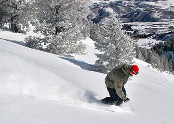Seth Roberts in Snowbasin's 20 fresh inches.Photo by Tim Roberts/SkiUtah.com