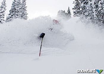 Snowbird was slammed with more than six feet of snow in seven days. They have received more than nine feet of new snow since February 10.