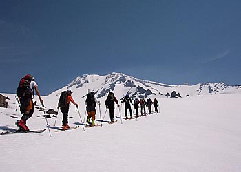 Mount Shasta The NASTC group skins up the mountain. PHOTO: NASTC