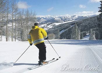 Using the blowtorch, heat the metal edges at the tips and tails until they're bright red. Allow them to slowly cool; the steel will then be malleable…
