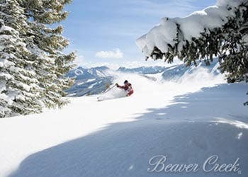 How To Build Your Own Skis None