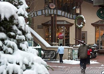 Shopping None