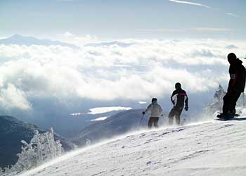 Snowbird got another seven inches of new snow to add on to their Year-to-date total of 471. Check out snowbird.com for more.