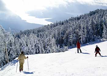 To The Slot Ken White stands in front of a trail sign at Falls Creek, Victoria, Australia, July 2007. Want to help out the Whites in their fight against…