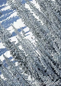 Squaw Valley, CA None