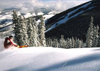 East Coast spring snow willnever be confused with thebounty of Utah's Wasatch, butsome solace can be found in asingle word: nor'easters. They're a…