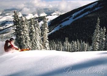 Vermont East Coast spring snow willnever be confused with thebounty of Utah's Wasatch, butsome solace can be found in asingle word: nor'easters. They're a…