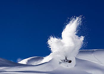 The Women's Guide features a GORE-TEX® XCR insert, Schoeller 4-way stretch shell, Pittards Armortan goatskin palm, and a removable 10 oz PrimaLoft…