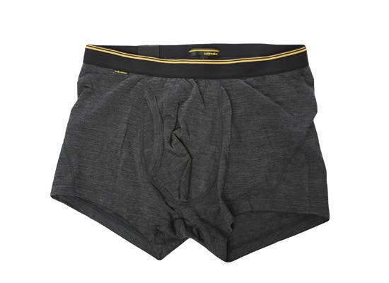 $40; icebreaker.com  Cotton boxers do one thing exceptionally well: collect moisture like a godforsaken sponge. Enter Icebreaker’s Beast Boxer…