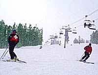 135/108/124; 191 cm only; $999; movementskis.com  The first generation had splotchy orange top sheets. That can’t compete with other ski graphics,…