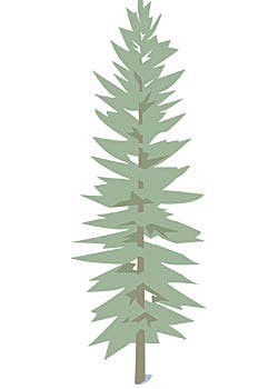 Lindsay Mann Winner: Lindsay Mann Event Location: Steamboat Springs, CO Event Date: October 30, 2008 Warren Miller, Jeep and Rossignol would like to congratulate…