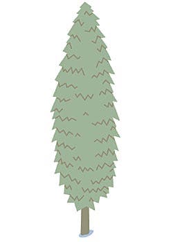 Michelle Fox Warren Miller, Jeep and Rossignol would like to congratulate our Top Five winners and thank all who participated in the contest, making the first…