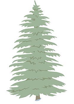 Nichole Hatch Winner: Nichole Hatch Event Location: Ogden, UT Event Date: October 25, 2008 Warren Miller, Jeep and Rossignol would like to congratulate our Top…