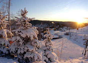 Image placeholder title None