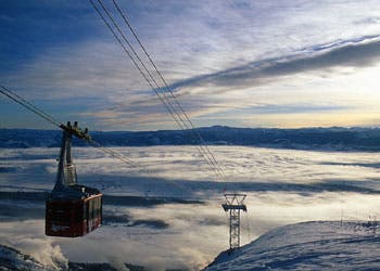 Image placeholder title None