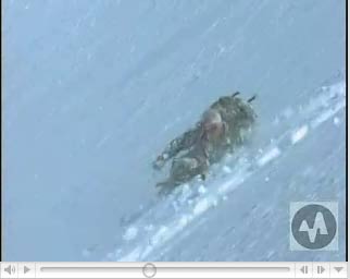 To read about this expedition to Antarctica, go to skiingmag.com/antarctica. Sunset in the Neumeier Channel.