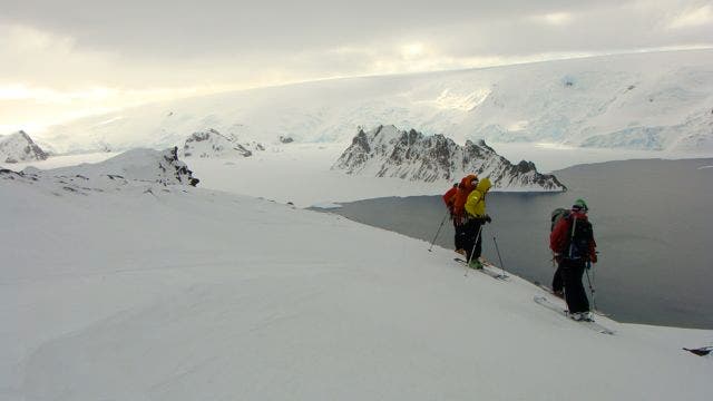 Destination Antarctica: More Skiing Approaching objective on last ski morning, Greenwich Island, South Shetland archipelago