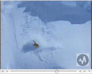  Jessica Sobolowski climbing on Wiencke Island with   Neumeier Channel and Anvers Island in background. 