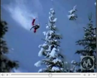 Penguins on Wiencke Island Penguins on Wiencke Island