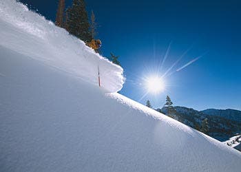 #2: Alta/Snowbird, Utah None