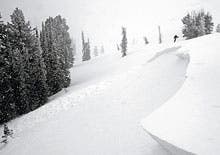 Cutler Ridge Crown None