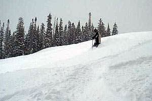 Line Skis Bandana For your park-rat nephew: We’re still not totally sure why, but skiers in the park like looking like robbers holding up a bank. They all wear…