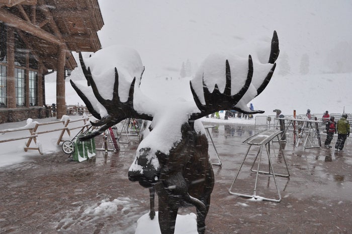 Snowbasin.jpg None
