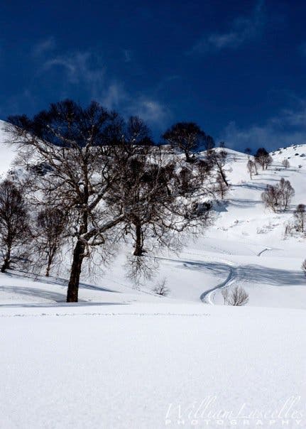 Gulmarg We arrived at our new home for the night, and the last of the evening’s hikers made their way past us, dropping off the peak and into 6,000 feet of…