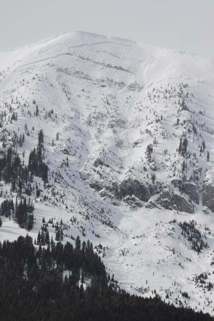 Saddle Peak 2 This avalanche broke nearly 1000ft wide and ran about 2000ft vertical. Photo by John Shankland