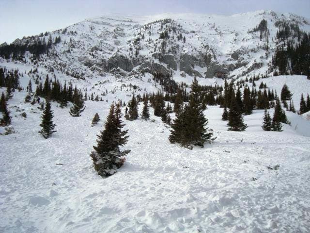 Saddle Peak 5 This photo was taken near the toe of the debris which extended across the entire bottom half of the photo. Debris was deposited from the base of the…