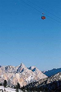 Silver Back No one will forget which team you're on if you're wearing a pink jack with silver accents.Wear it proudLicinio says some skeptics have questioned the…