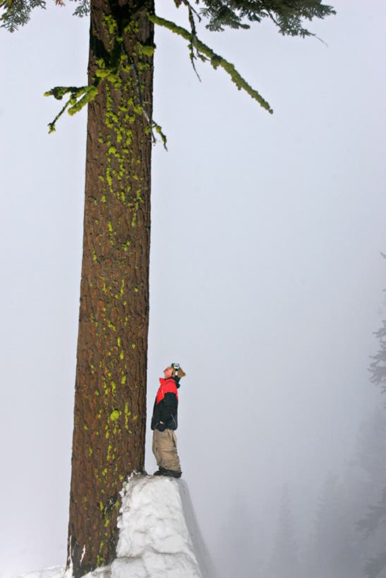 The Book of Candide Candide Thovex at Lake Tahoe, California.