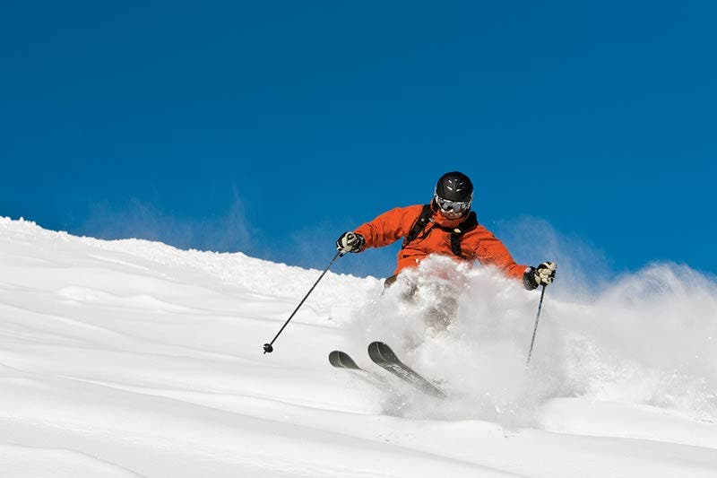 Spring Into Action None