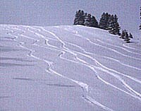 Stevens Pass, Washington's Big Air Fiesta It's been dumping snow in Washington lately, so there should be plenty of packed powder left at Stevens Pass. Plus, there's a Big Air Fiesta for…