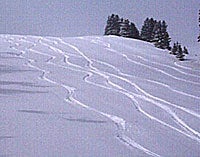 Stevens Pass, Washington's Big Air Fiesta It's been dumping snow in Washington lately, so there should be plenty of packed powder left at Stevens Pass. Plus, there's a Big Air Fiesta for…