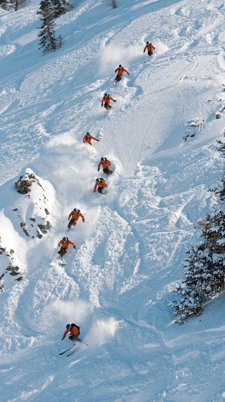 Three Essentials of Skiing Back Bowls None