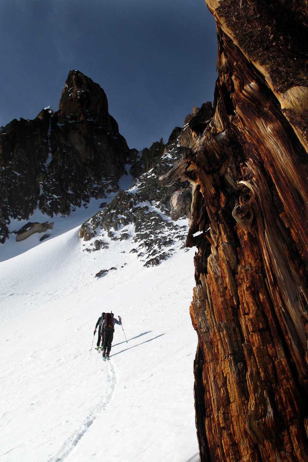 Easy Tracks The skinning conditions were a breeze all day long. That’s Mount Hayburn in the background. Sawtooth Mountain Guides do rock climbing trips here…