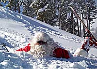 Gear Testing: Sun Valley Resort That afternoon we took the gear to the hill and skied Sun Valley Resort. The weather was full-on winter at the top and rain at the base—perfect…
