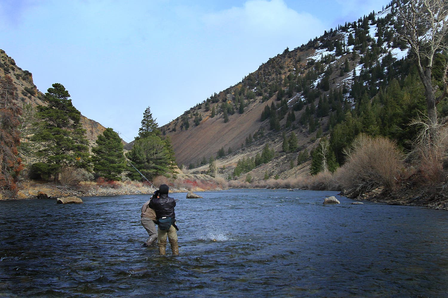 It wasn’t long before we were getting on some Steelhead. What a privilege it is to see these beautiful sea-run Rainbow Trout on their magnificent…