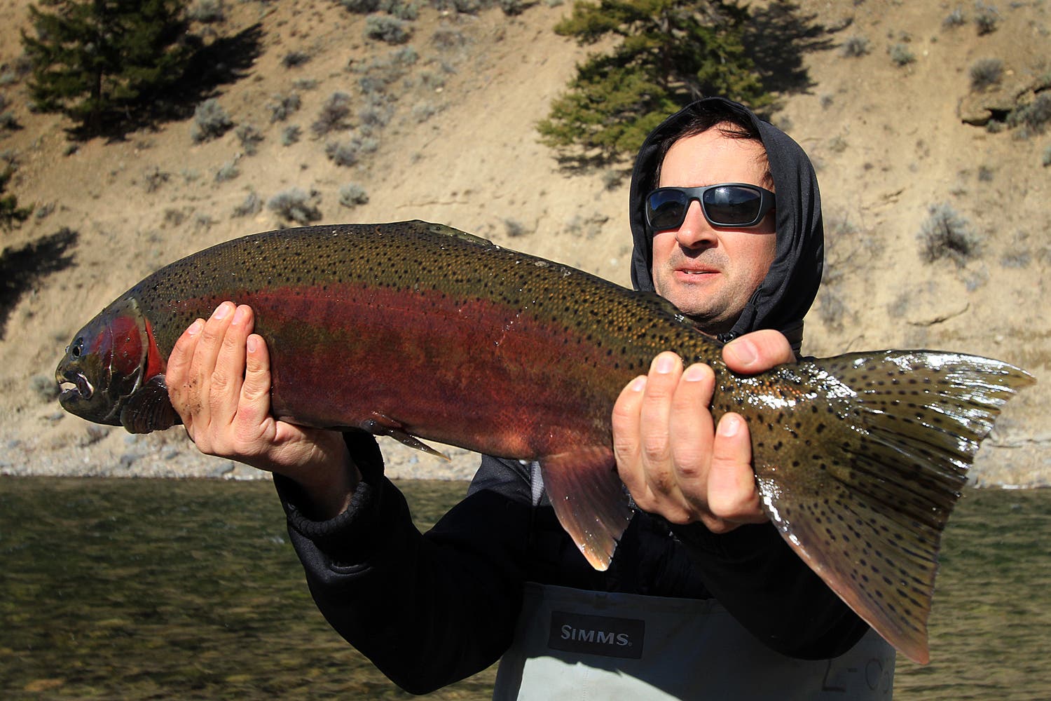 Steelheading on the Salmon River The next morning we were back on the river early for what was a beautiful sunny day. This is Steven Krcmar with a beautiful 35-inch Steelie.